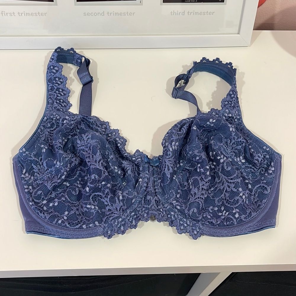 New Chantelle blue bra